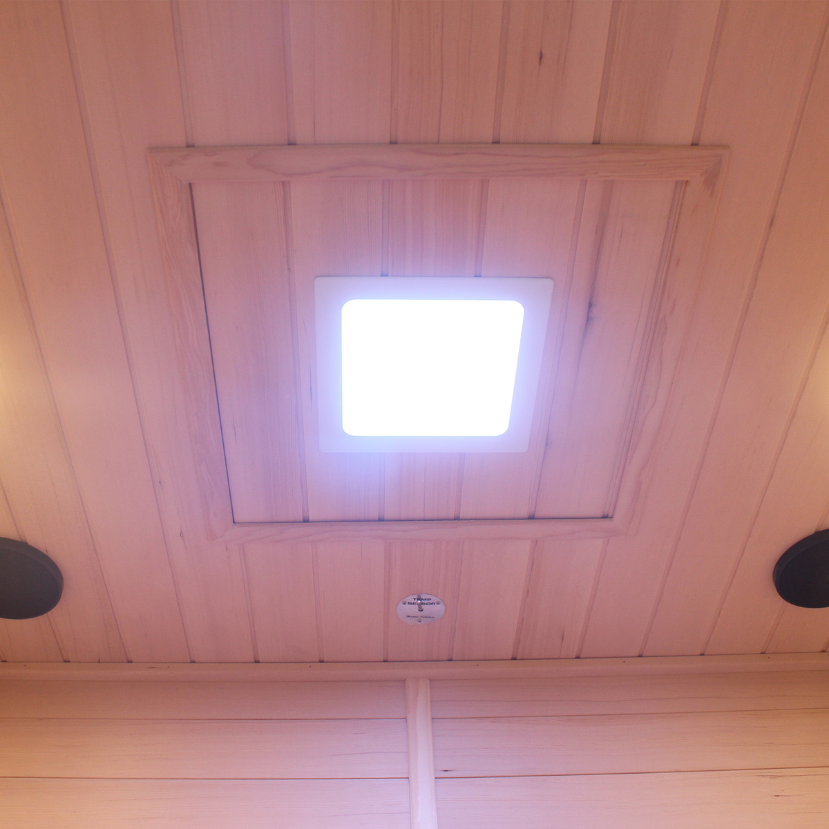 CenturaHeat 3 Person Traditional Steam Outdoor Sauna Room - ceiling light and speakers